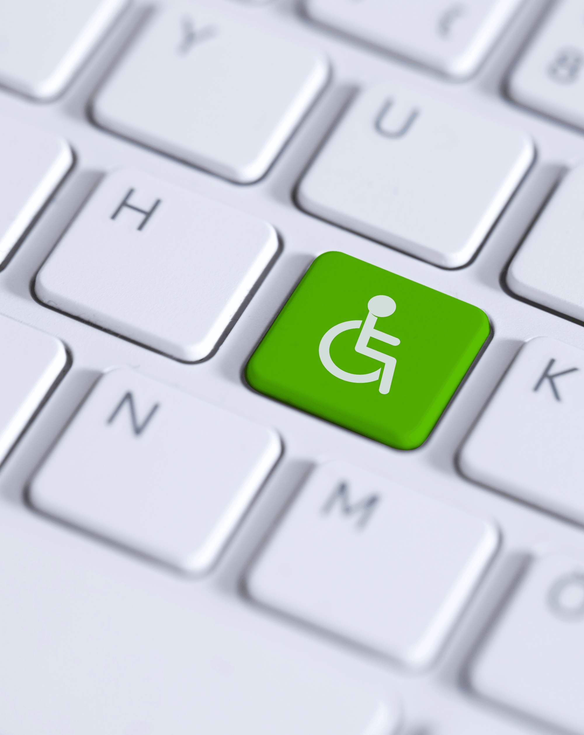 Webtilgængelige PDF’er